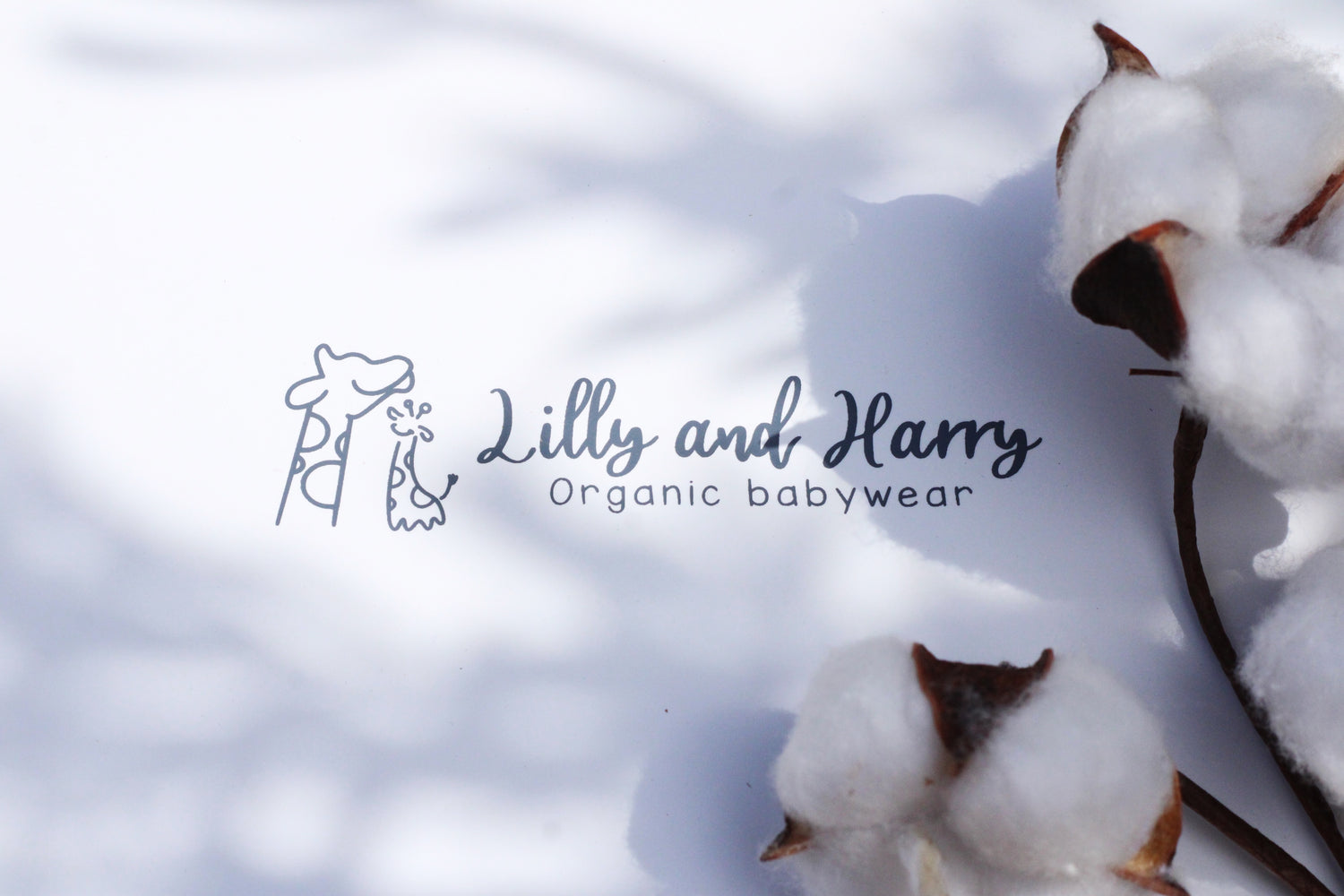 Lilly and harry organic baby wear gift box for new borns organic cotton