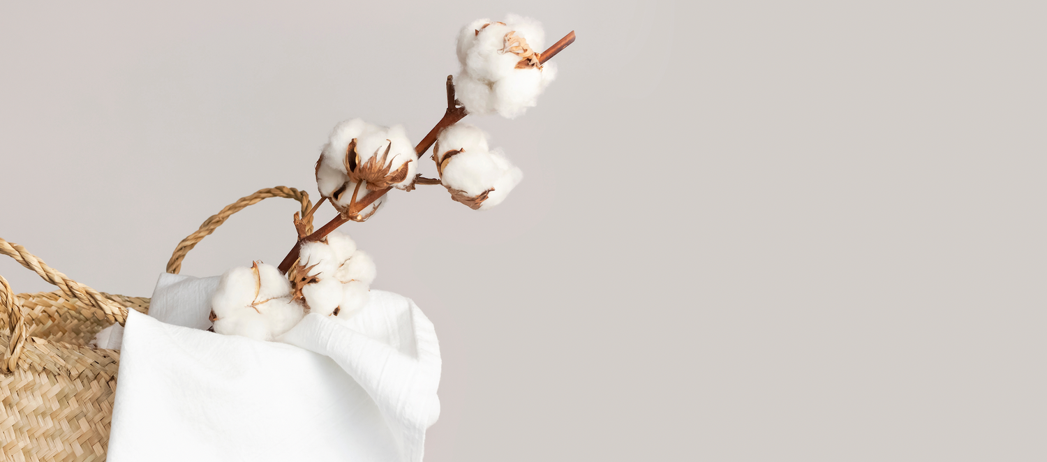 shutter shock organic cotton - benefits of organic cotton with Lilly and harry baby clothing