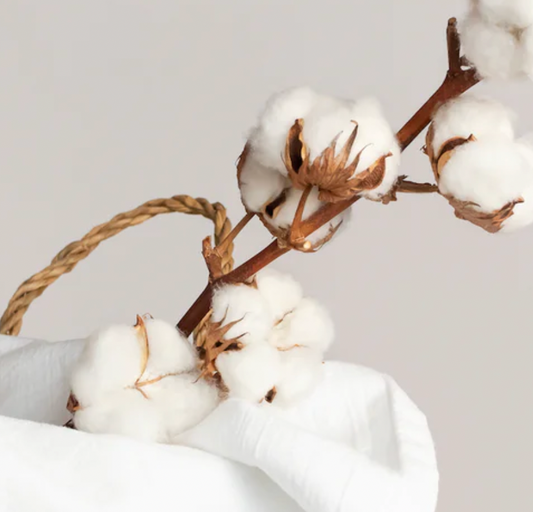 Benefits of Organic Cotton