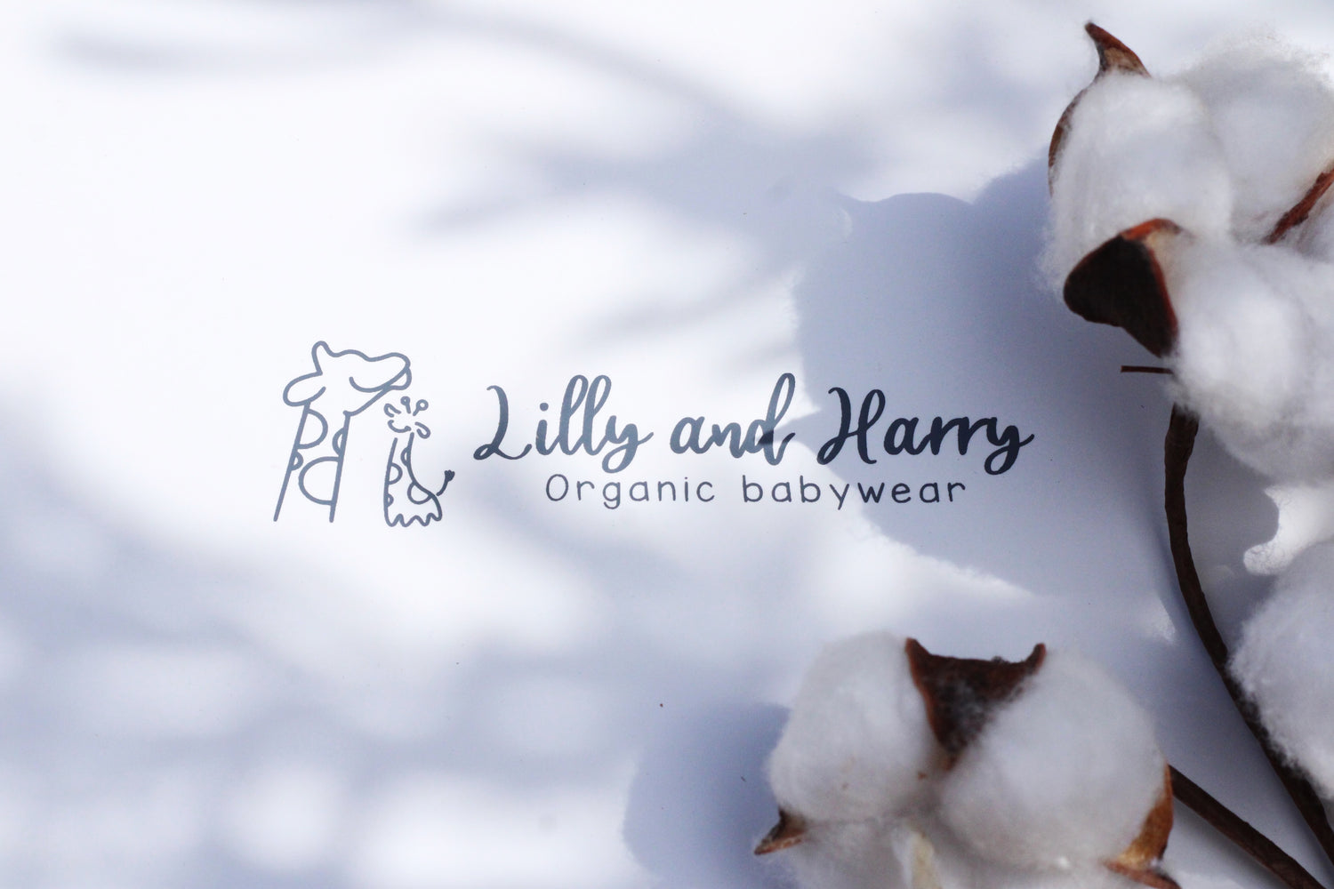 Lilly and harry organic baby wear gift box for new borns organic cotton 