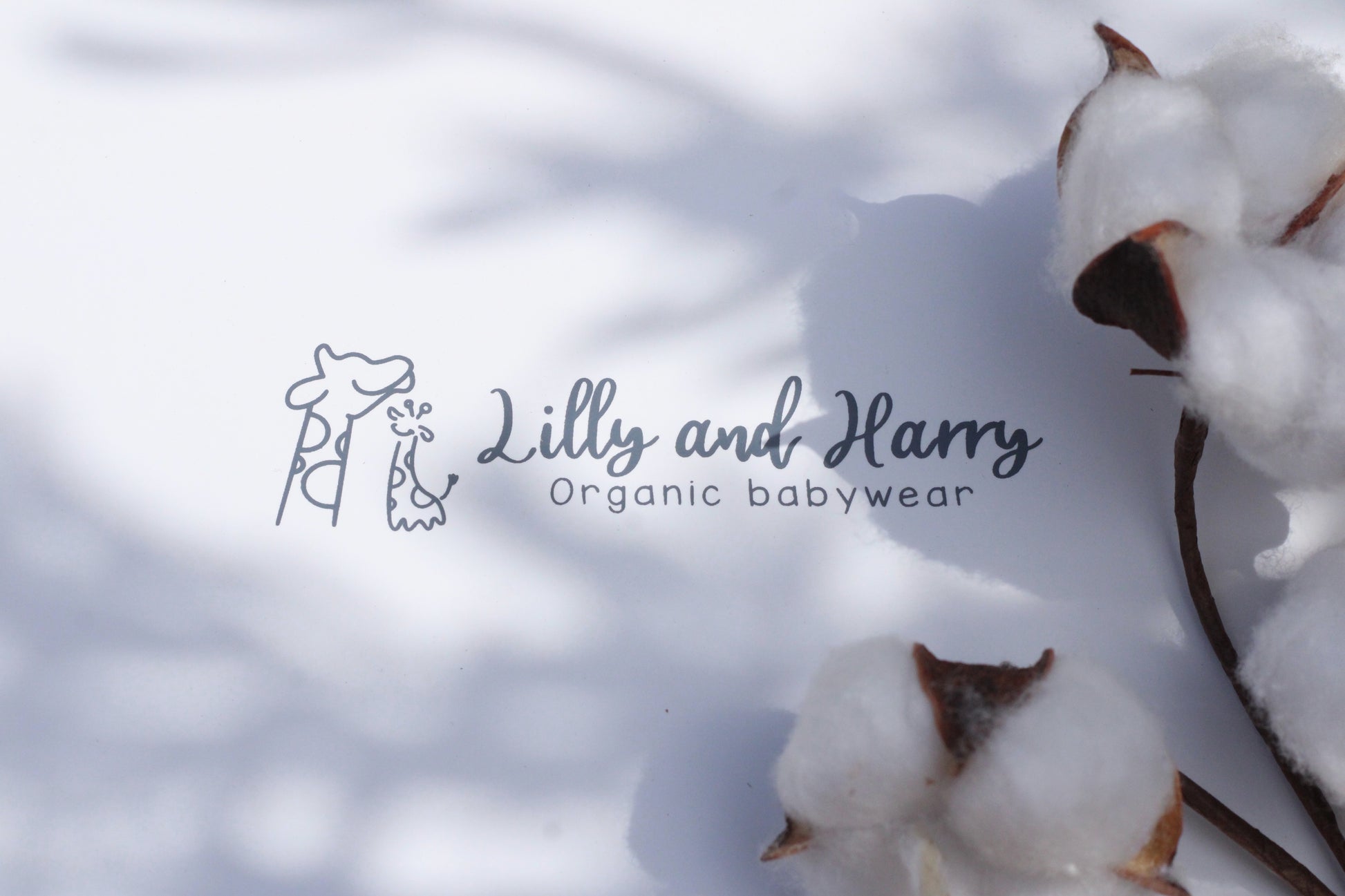 Lilly and Harry Organic baby wear gift boxes for new and expecting parents